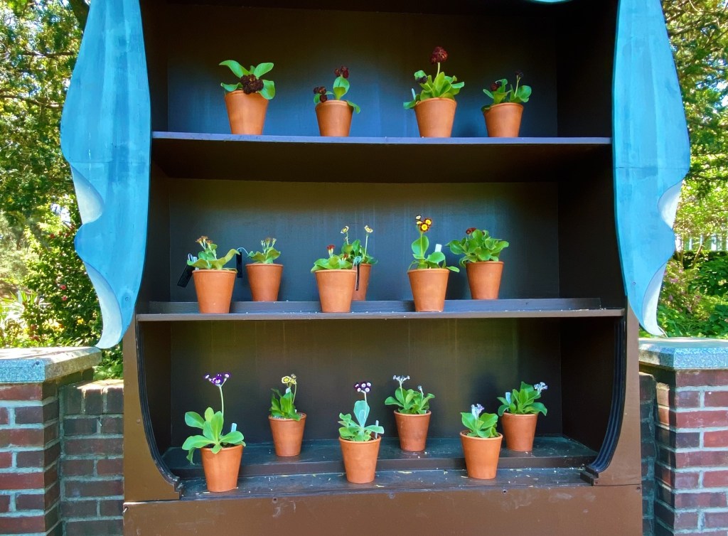 Spring 2023 Favorites